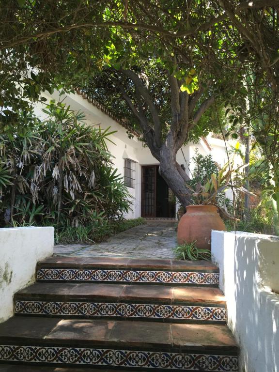 米哈斯科斯塔Las Gitanillas, villa with heated pool, La Cala de Mijas的房屋前有树的楼梯