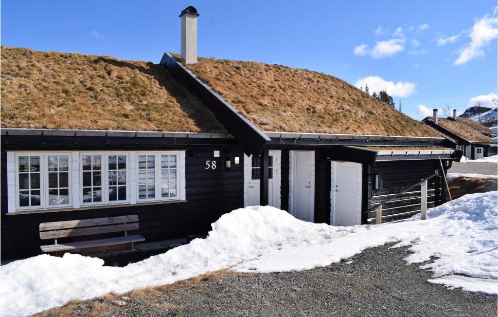 尤坎Cozy Home In Rjukan With House A Mountain View的一座有草屋顶的房子,四周有雪