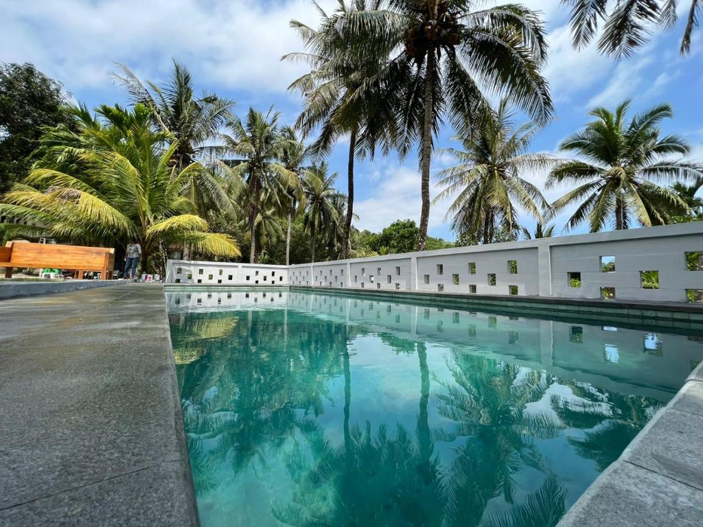 龙目岛库塔Kuta Circle Homestay的棕榈树建筑前的游泳池