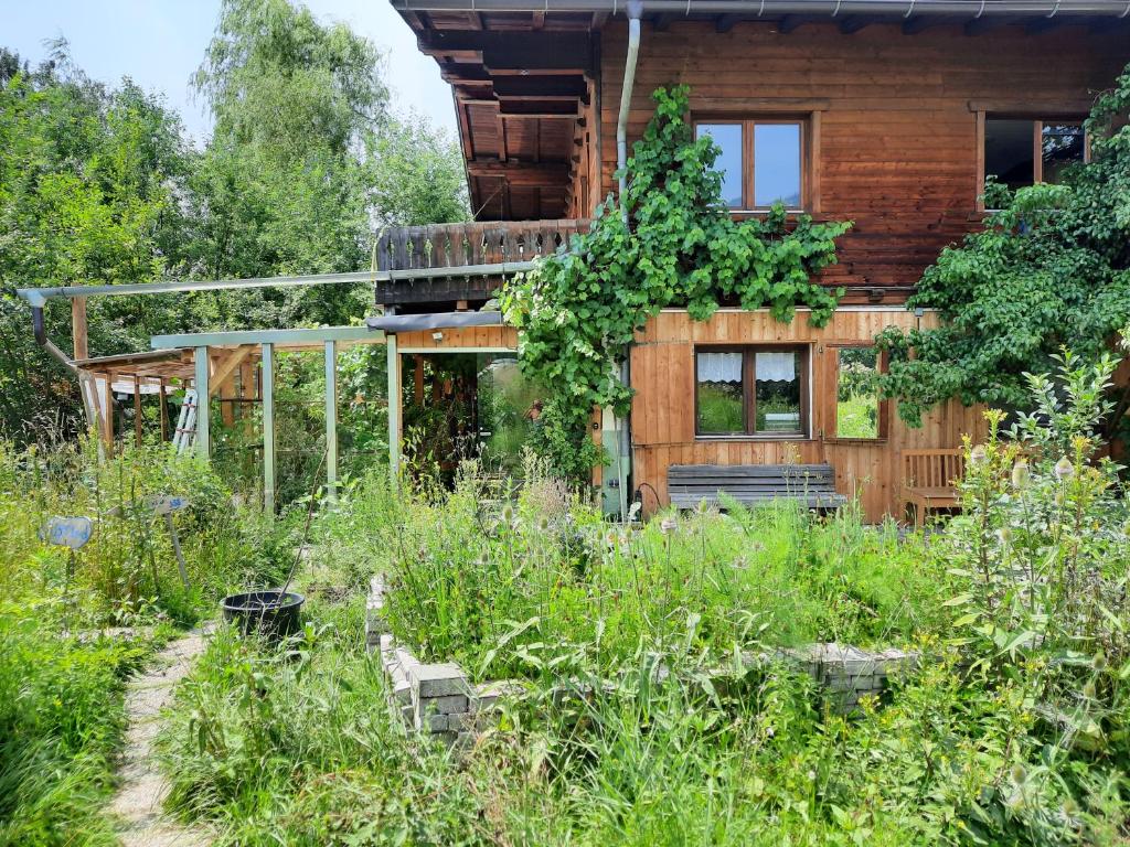 蒂罗尔州圣约翰Bauernhaus im Permakultur-Garten的前面设有花园的木屋