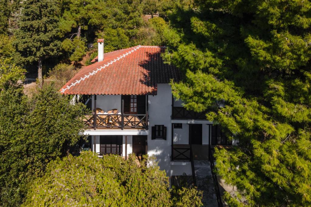 尼亚·卡利克拉提亚Beach Front Vintage Villa Kalliktratis的白色房子空中景色,屋顶茅草