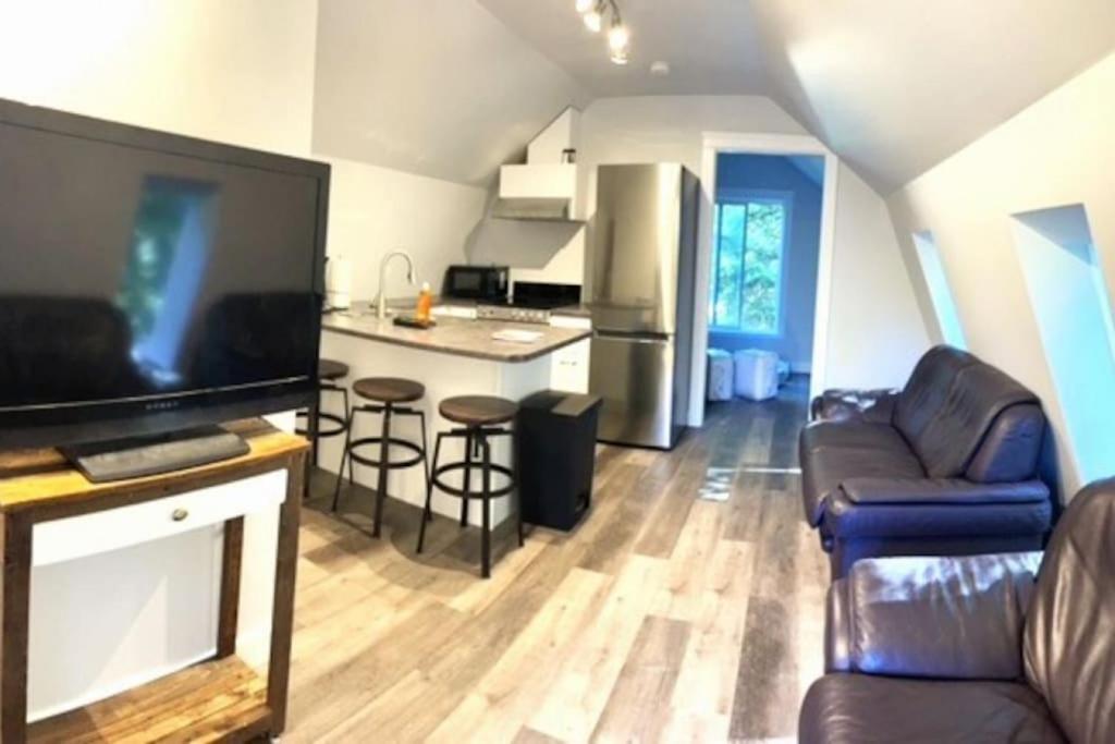 科布尔山Rustic 1-Bedroom farm style loft with fire pit的带沙发的客厅和厨房
