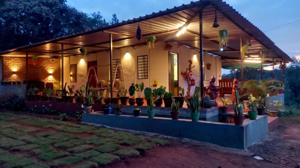 SomvārpetCoorg Coffee Park Farmstay的前面有盆栽植物的房子