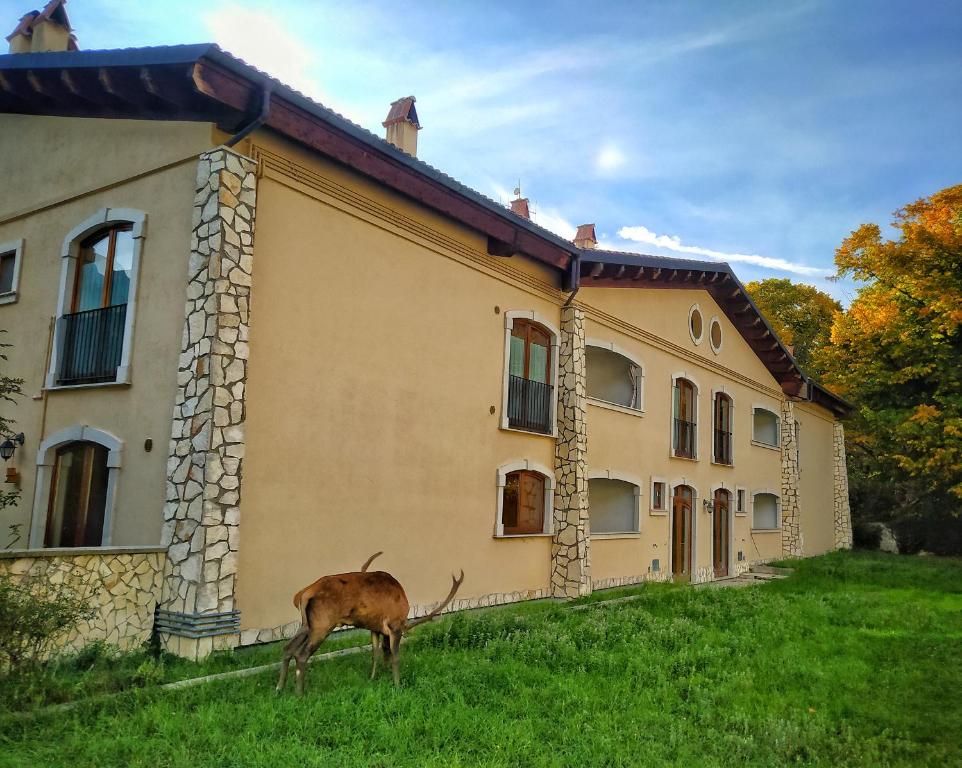 维勒塔巴雷亚Le Masserie Case Vacanza的山羊站在一座建筑前面的草上