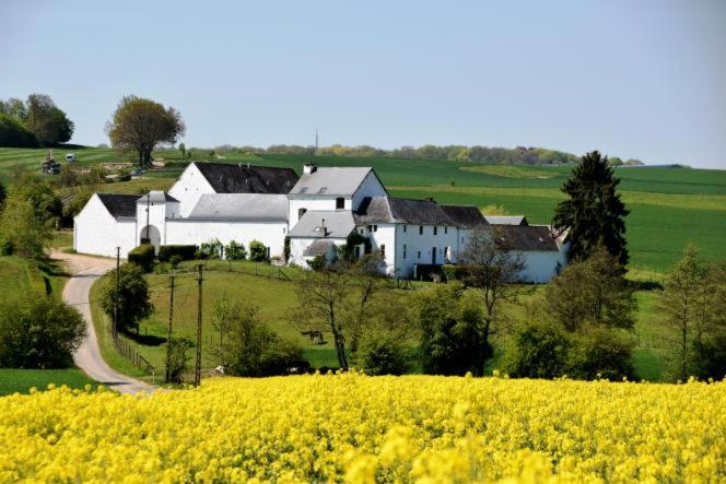 Mozet La ferme de Basseilles的一座白色的房子,位于一座小山上,花田黄花
