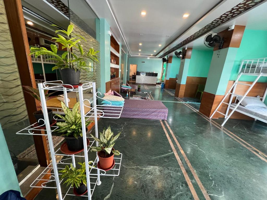 浦那Backpackers hostel的走廊上设有几张床和盆栽植物