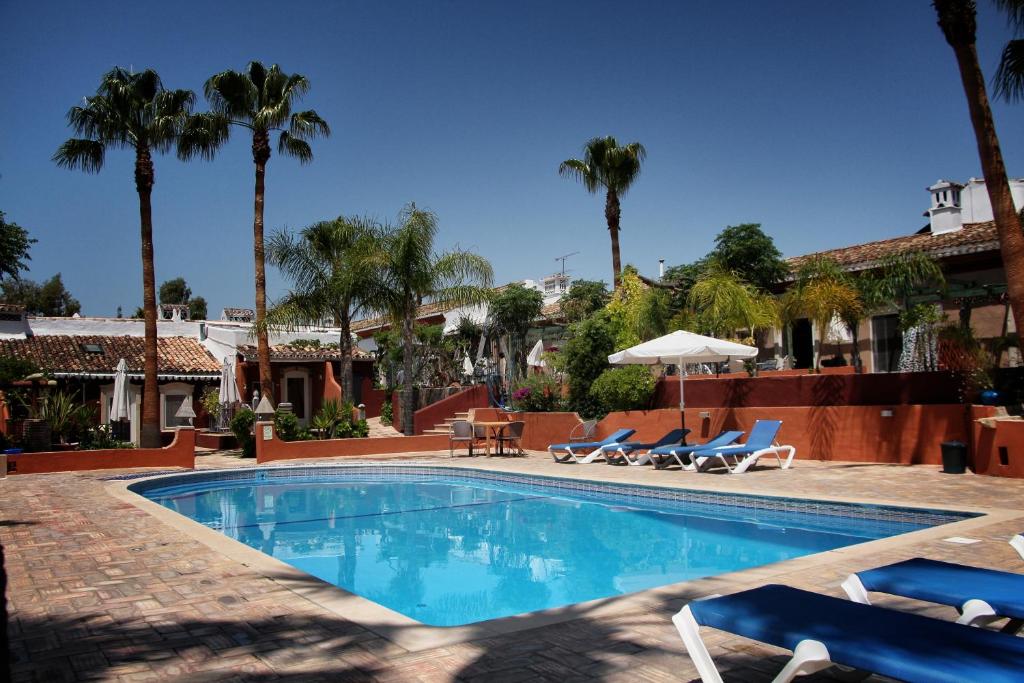 阿尔曼萨Quinta dos Amigos的一个带椅子的游泳池,棕榈树
