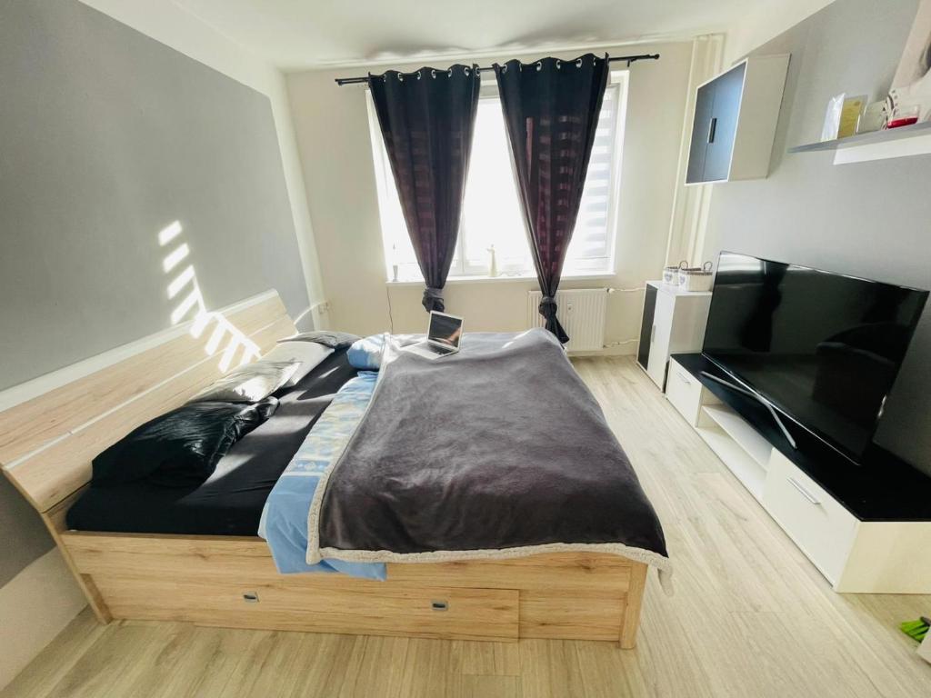 Horní SlavkovFeel like home的一间卧室配有一张床和一台平面电视