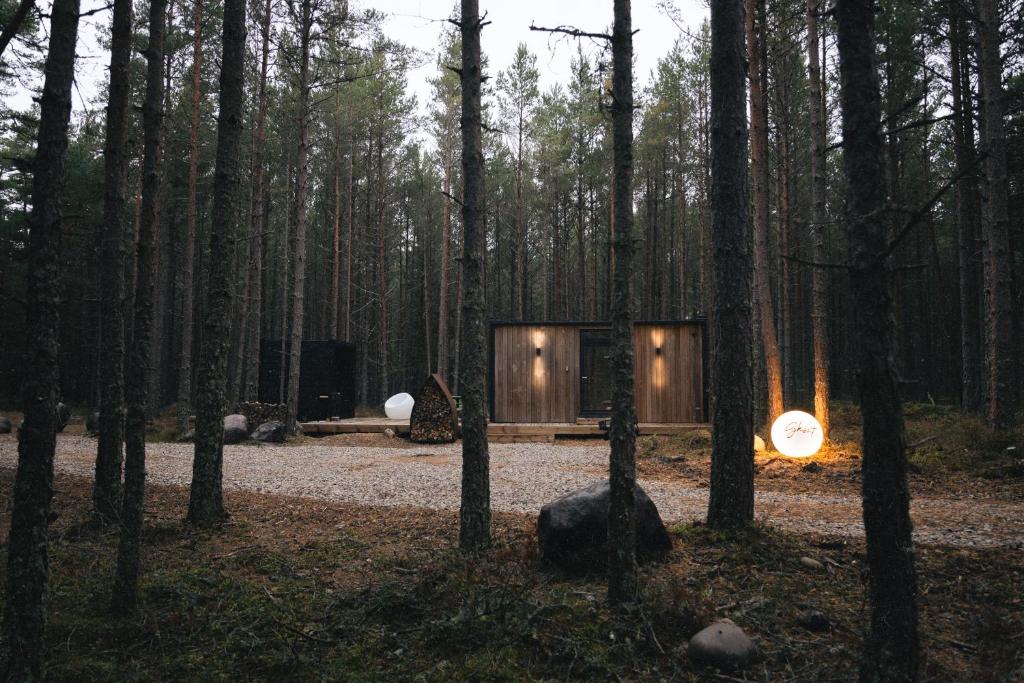 RooslepaÖÖD Hötels Rooslepa - FIKA, MYSA , SKÖNT-with sauna的森林中小屋