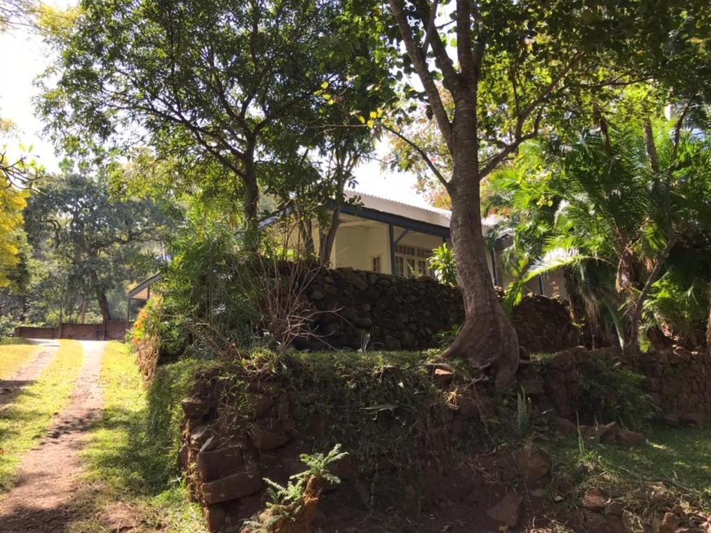 ZombaPaphiri House的一座树屋,在石墙后面