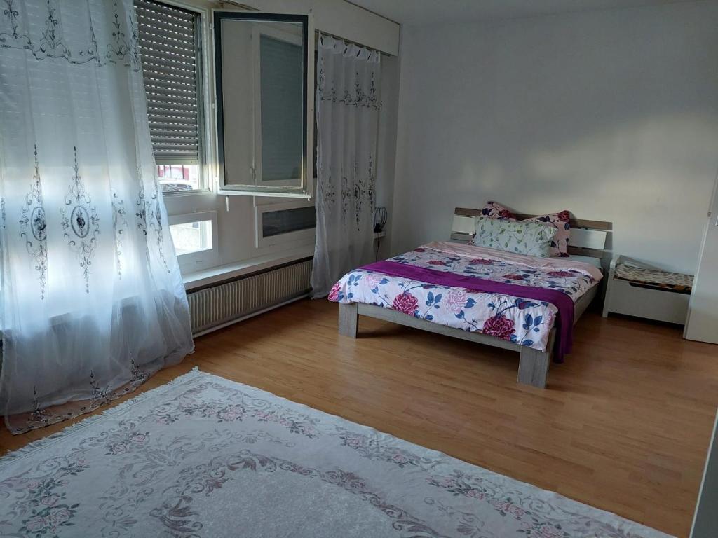 伯尔尼Kleine Apartment im Zentrum Bern的一间卧室设有床、窗户和地毯。