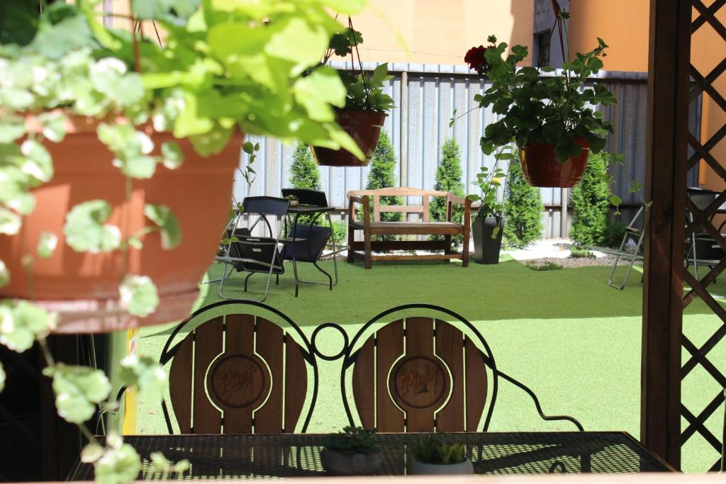 西维德尼察Noclegi GALESZ的享有带椅子和植物的庭院的景色