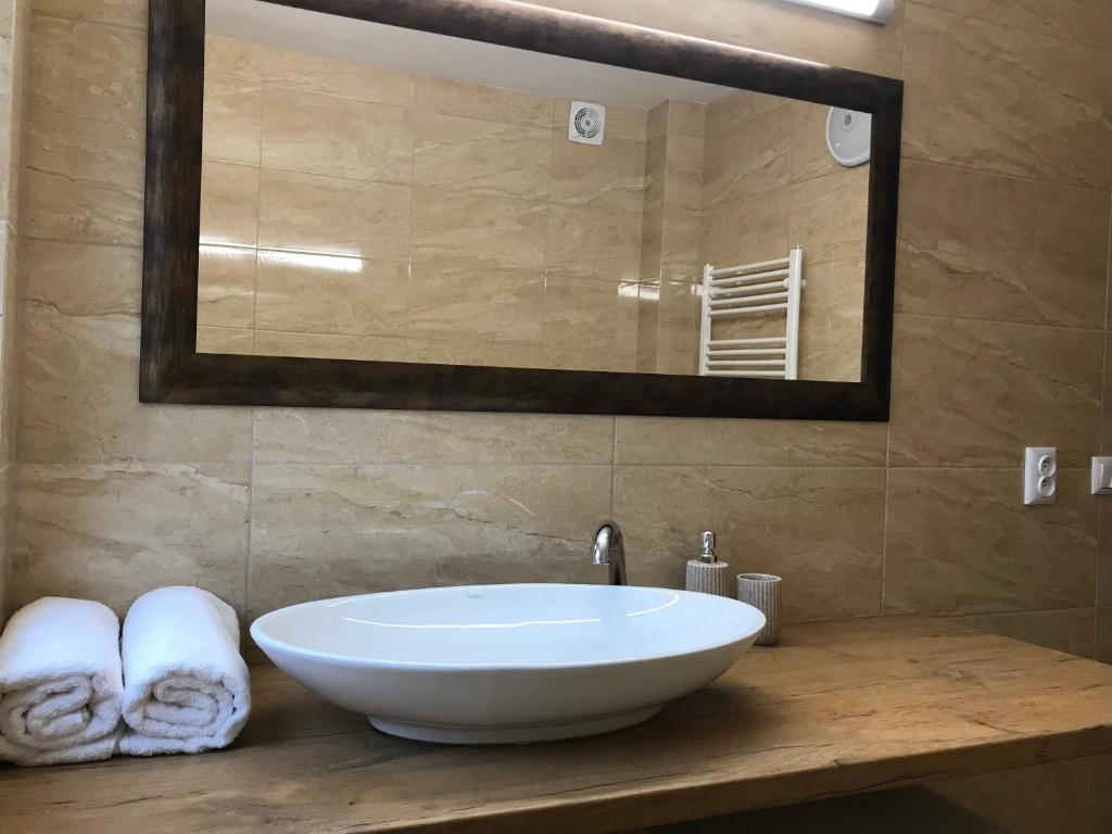 VišňovéApartmánový dom Višňové的浴室配有盥洗盆、镜子和毛巾