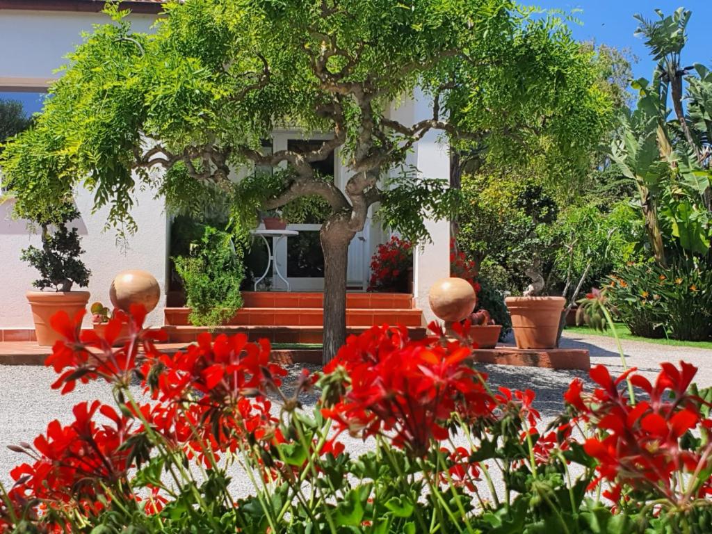 费尔蒂利亚Arenosu Comfort Country Resort的一座花园,在房子前种有红色花卉
