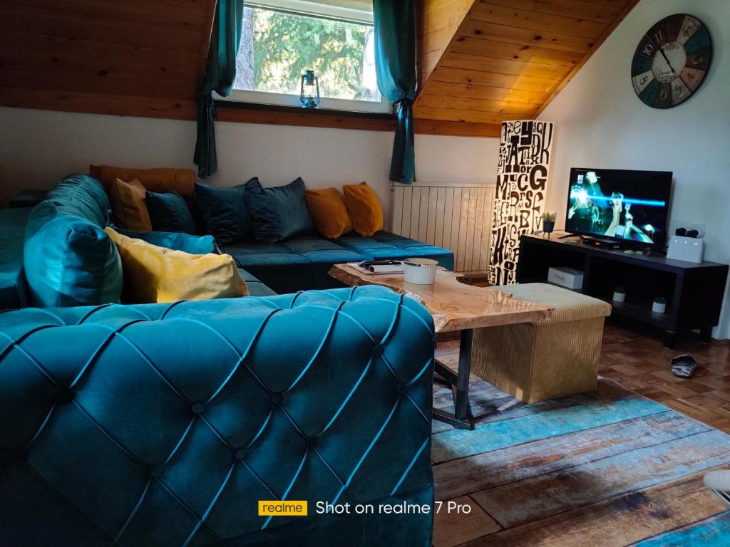 博尔Vila Jezerski raj的客厅配有蓝色的沙发和电视