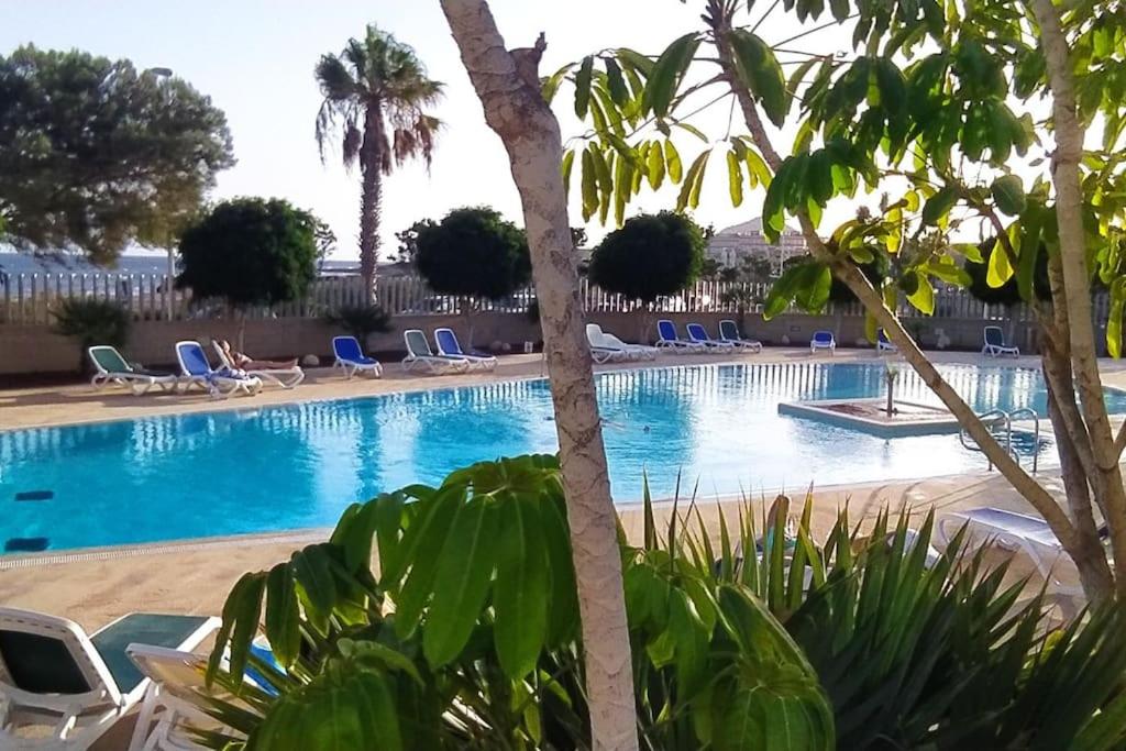 厄尔梅达诺Casa de Playa Sol Y Mar的一个带椅子的游泳池,棕榈树