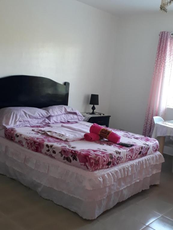 阿尔科伊Michelle's Apartment alcoy的卧室内的一张床位,床上有粉色毯子