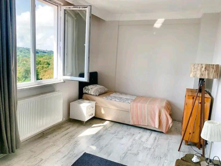 Taşolukforest villa-2, 5 minutes from Istanbul airport的一间卧室设有一张床和一个大窗户