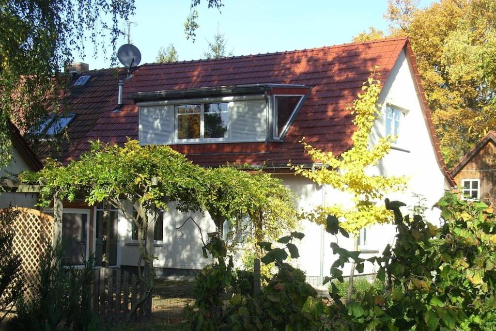 诺因哈根Auftanken im Grünen _ just4you_b.Berlin的白色房子,有红色屋顶