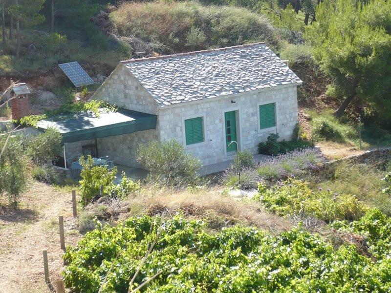 穆尔维察Robinson home for 3-4 Pers in Murvica 18-1的一座小白色房子,山上设有绿色窗户