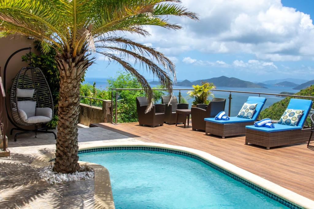 Tortola IslandMount Healthy Villas 6- bedrooms with spa & pool的甲板上带椅子和棕榈树的游泳池