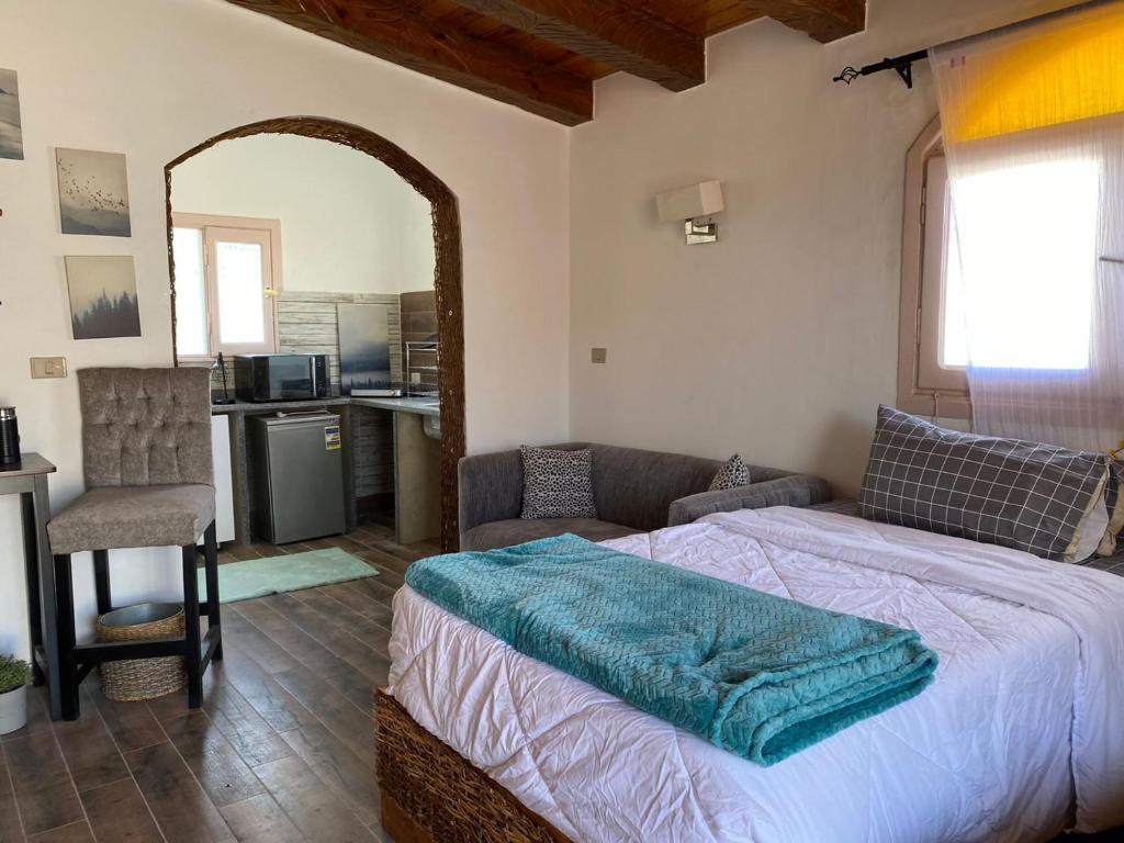 沙姆沙伊赫Mazarita Beach Residence的一间卧室配有一张床和一张沙发,还设有一间厨房