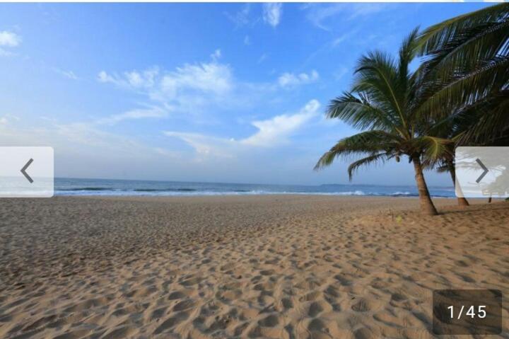 拜蒂克洛Batti Relax Point的棕榈树在沙滩上与大海
