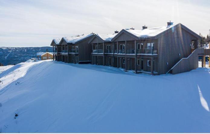 高尔Perfect Christmas atmosphere! Beautiful Apartment at Skagahøgdi with Panoramic View的雪中的房子,积雪