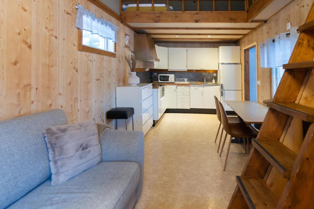 基律纳Aurora River Camp Glass igloos & cabins的客厅以及带沙发和桌子的厨房。
