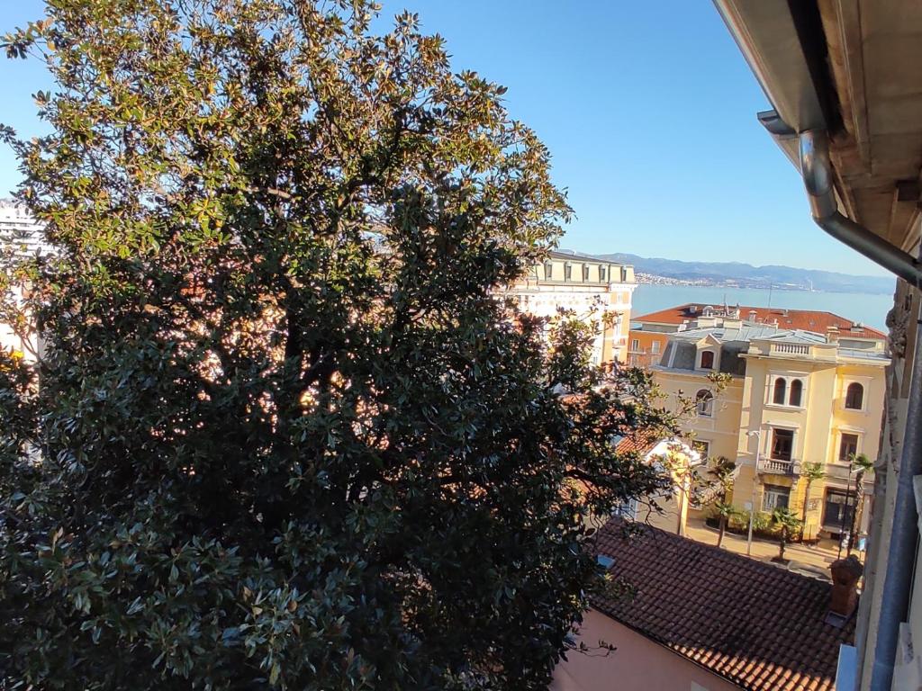 奥帕提亚Apartment in Opatija with Air condition, WIFI, Washing machine (905-2)的坐在大楼顶上的一棵大树