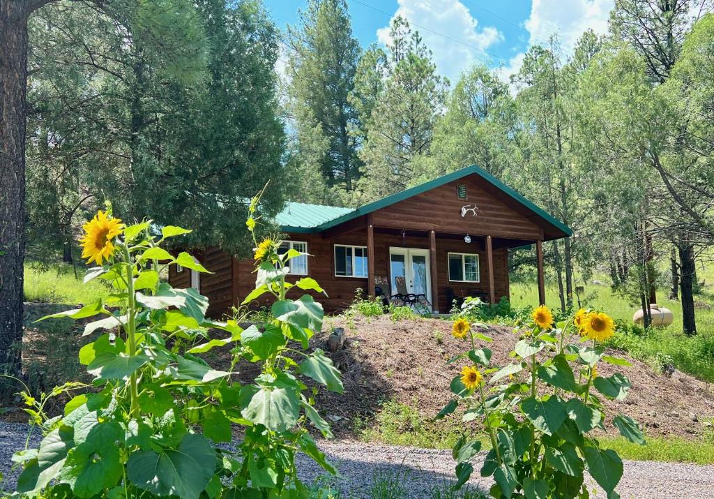 Salt Creek Cabin In The Gila平面图