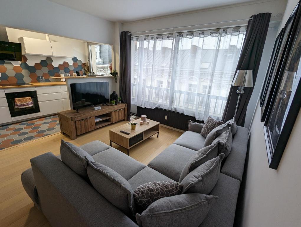 图尔昆Appt cosy en cœur de ville proche Lille - 15 min的带沙发和电视的客厅