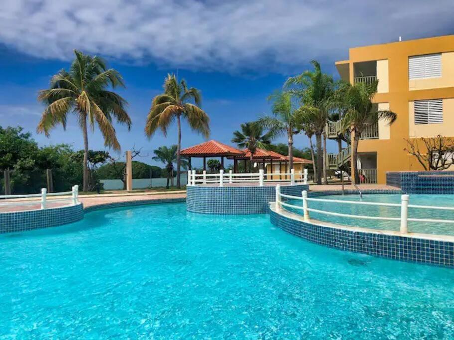 卡沃罗霍2-BR Modern Oceanfront Apt Steps from Playa Sucia的棕榈树度假村的游泳池