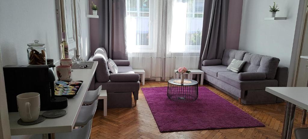 布达佩斯Sweet 16 Apartment in the Party District的客厅配有沙发和紫色地毯