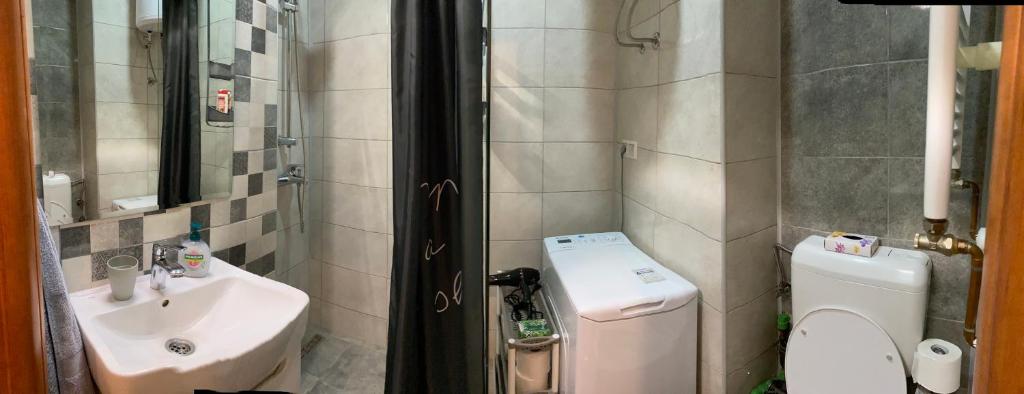 特拉夫尼克Kod Lipe - Travnik的一间带水槽和卫生间的小浴室