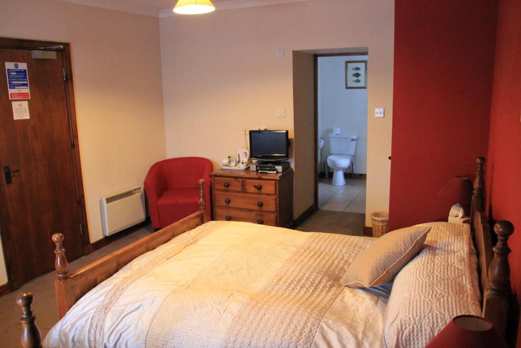 克雷格纽尔Craignure Inn的一间卧室配有一张床、一台电视和一间浴室。