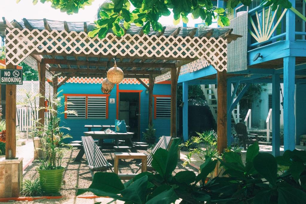 库尔克岛阳光大海旅馆的一个带两把椅子的庭院和蓝色的建筑