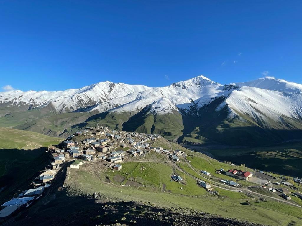 XınalıqAliveNino的山丘上一群动物,有雪覆盖的山脉