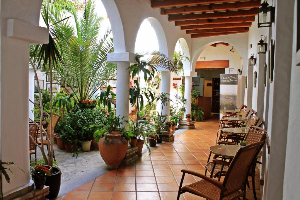 科尼尔-德拉弗龙特拉阿尔玛德拉巴科尼尔酒店的一间种植了大量植物的房间,配有桌椅