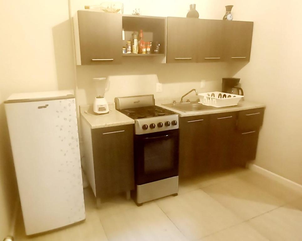 圣克鲁斯华特库Departamento Anel en Huatulco的小厨房配有炉灶和冰箱