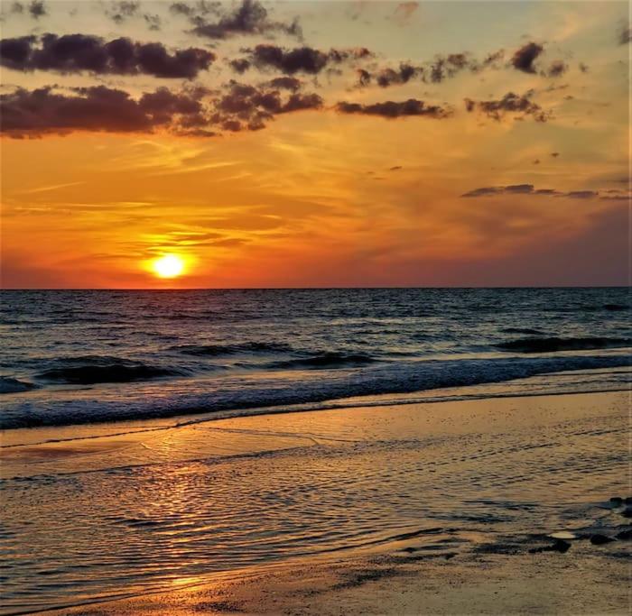 克利尔沃特Dolphin Watch的日落在海滩上与大海
