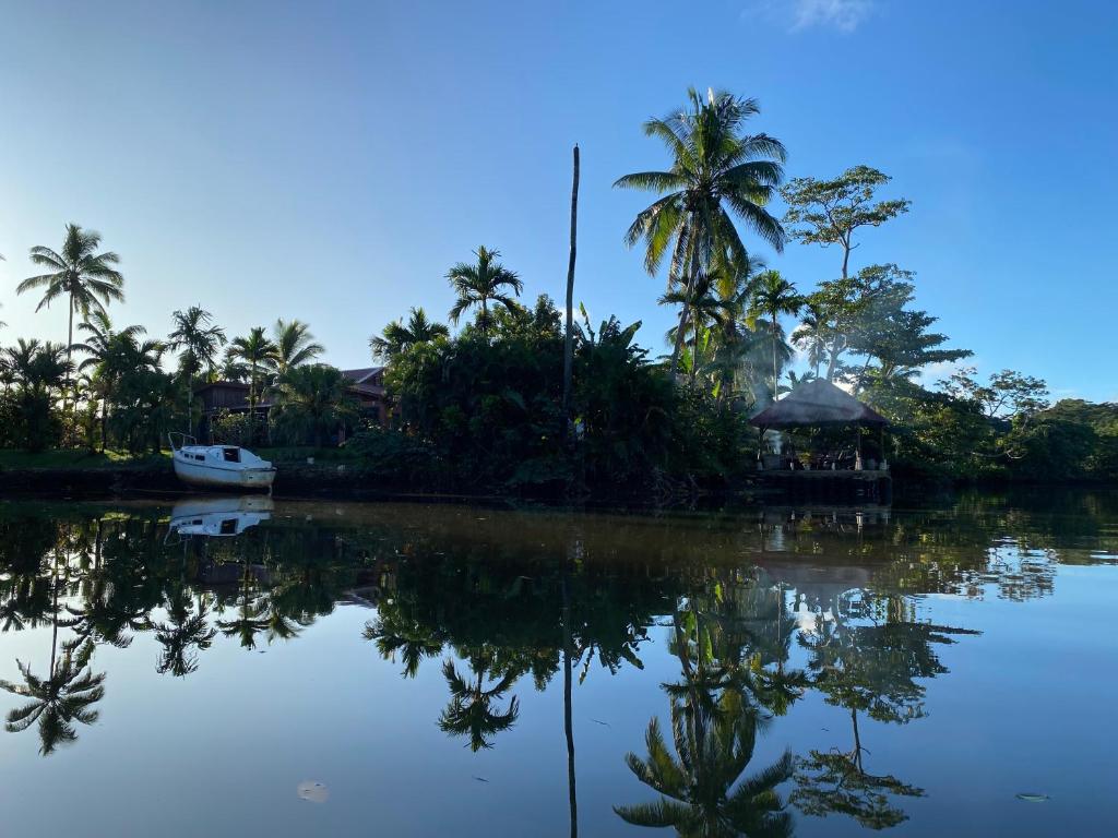 太平洋港Orchid Island B&B on the River with Pool & Jetty的一片水,有房子和棕榈树