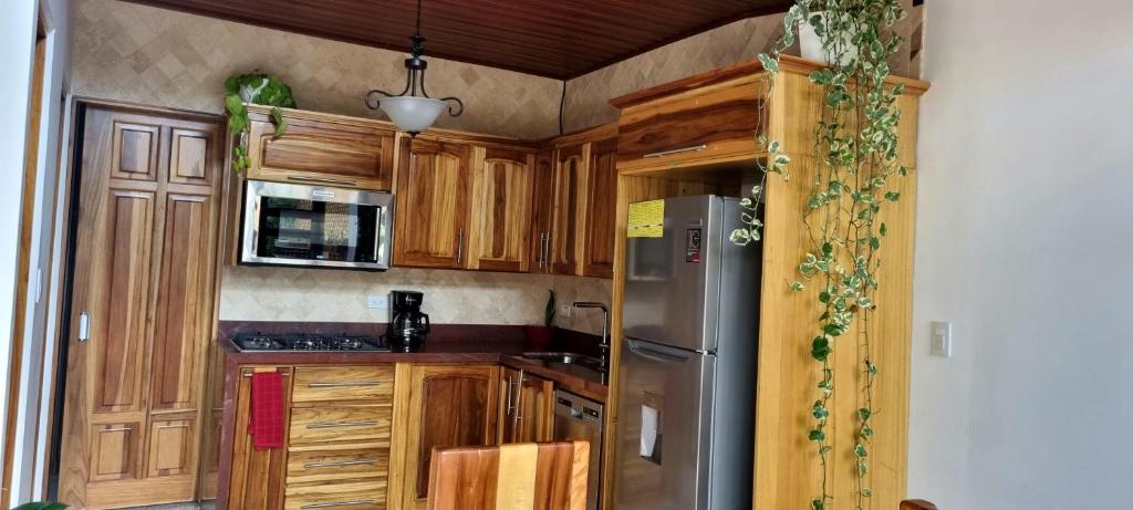 阿拉胡埃拉La Torre Azul的厨房配有木制橱柜和不锈钢冰箱。