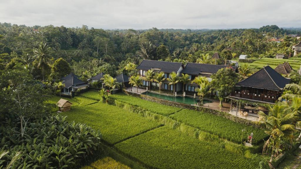 吉安雅Pinggala Villa Ubud的丛林中度假村的空中景观