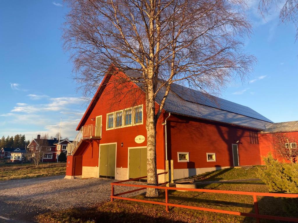 NorrfjärdenNewly built apartment next door to the sheep的前面有树的红色谷仓