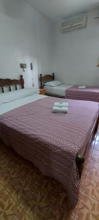 布宜诺斯艾利斯Hotel Central的一间卧室配有两张带紫色棉被的床