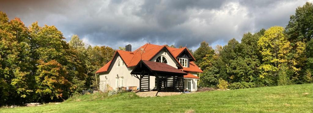 ŚciegnyDobra1的绿色山丘上一座带橙色屋顶的房子