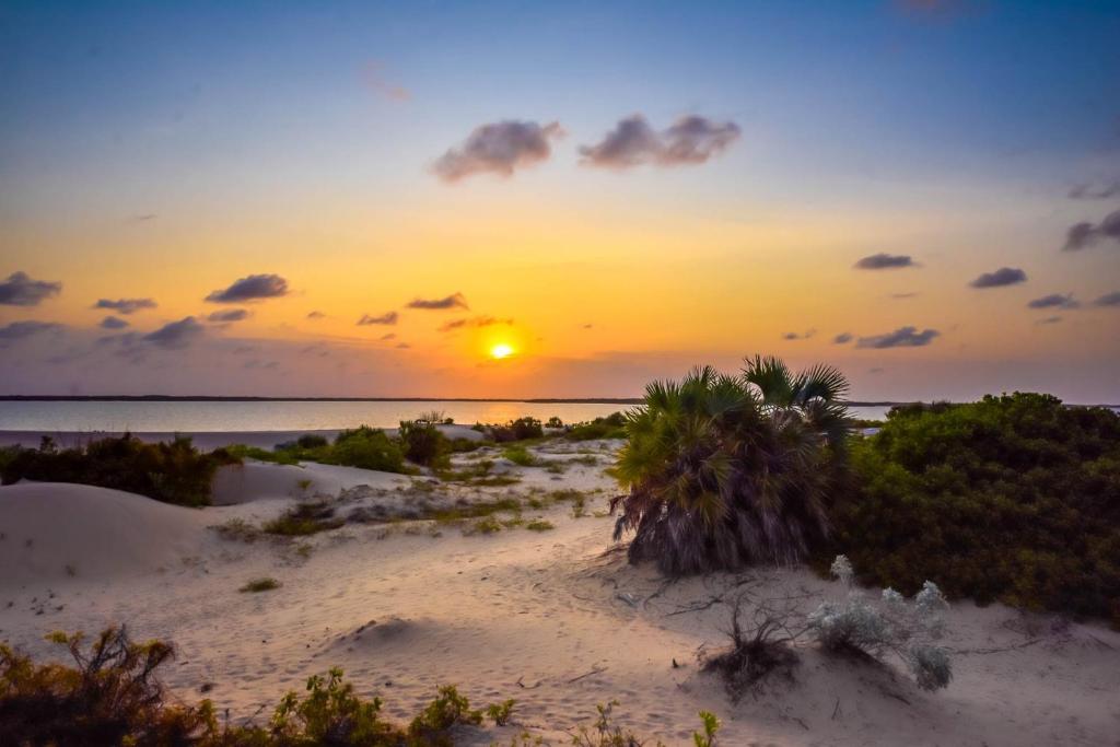 拉穆Kizingo Beach Eco Lodge的日落在沙滩上与大海