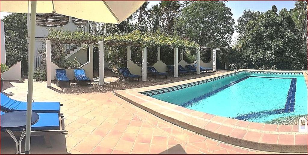 贝赫尔-德拉弗龙特拉Finca San Ambrosio - Apartments in grüner Oase mit Terrasse, Pool, Heizung, WiFi的一个带椅子和遮阳伞的游泳池