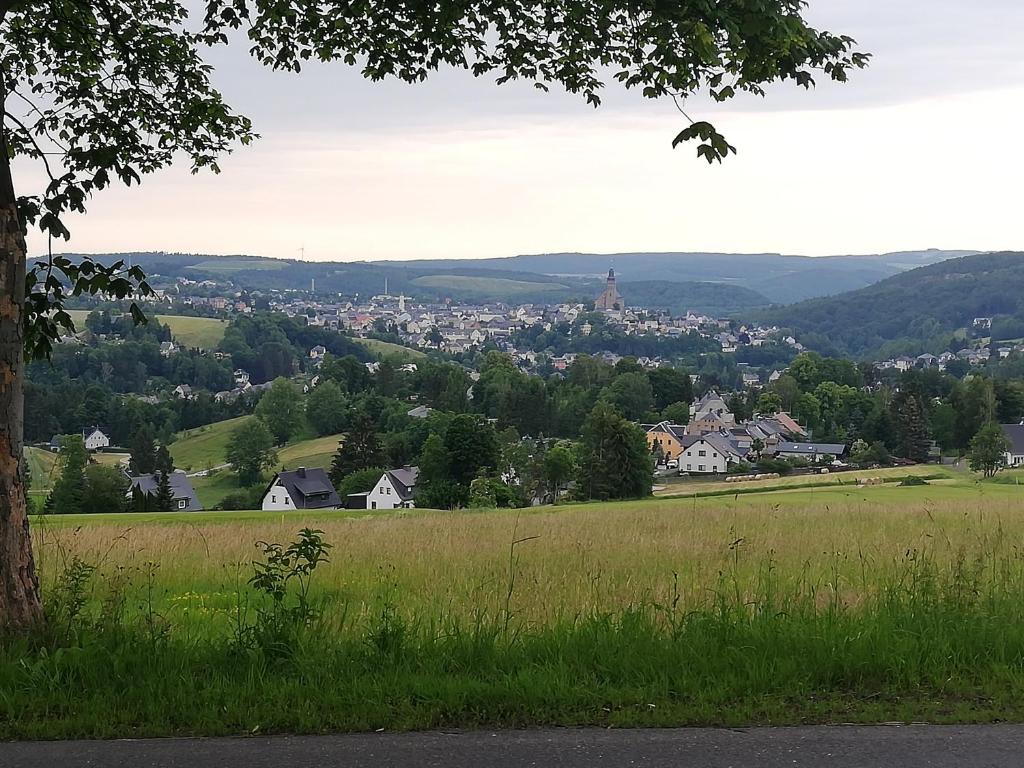 施内贝格Ursula的从草地山丘上可欣赏到城镇景色